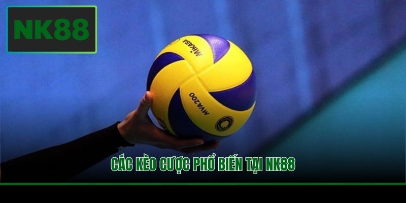 Các kèo cược phổ biến tại NK88