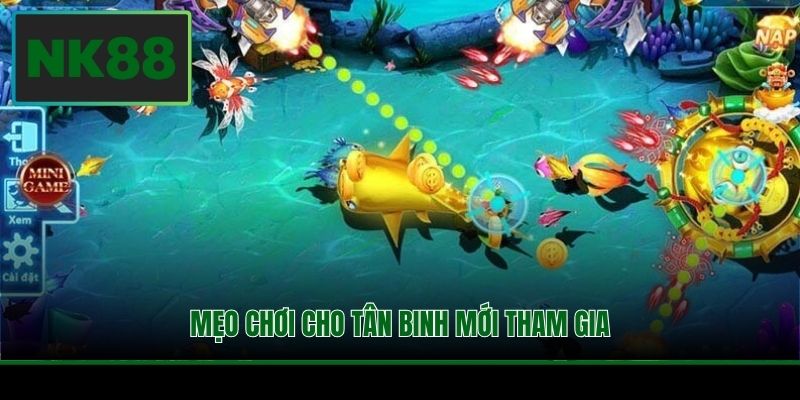 Mẹo chơi cho tân binh mới tham gia