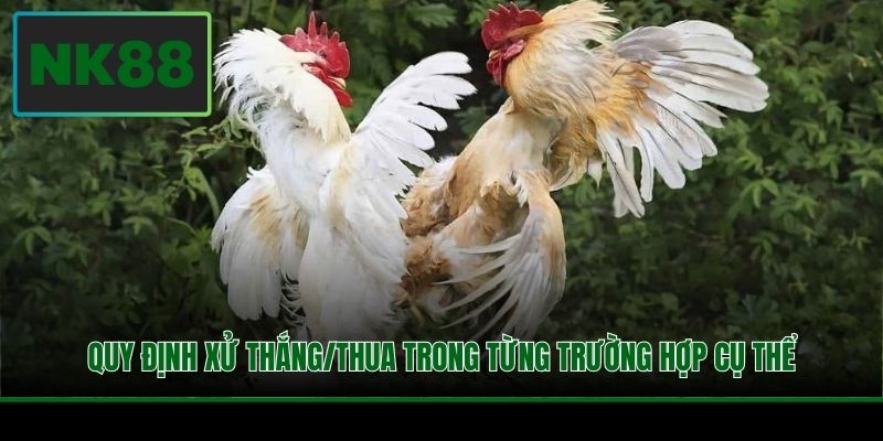 Quy định xử thắng/thua trong từng trường hợp cụ thể