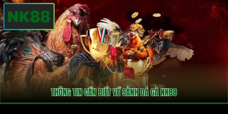 Thông tin cần biết về sảnh đá gà NK88